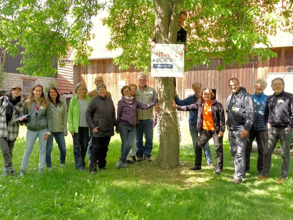 Greensteps Workshop am 24.5.2025